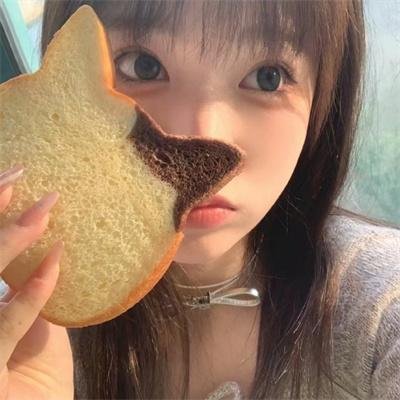 绝对占领